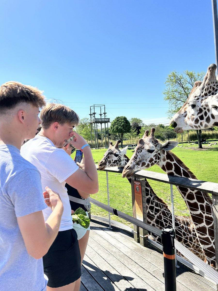 Ksmoyer23's tweet photo. Biodiversity study at the zoo today!@els_eagles https://t.co/nLfmcKR6oE