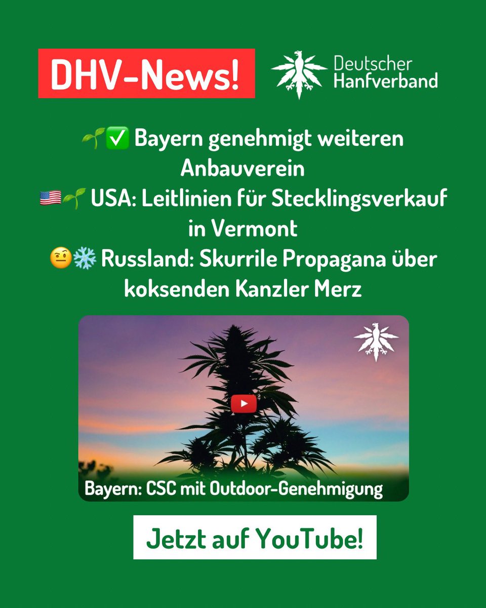 Hanfverband tweet media