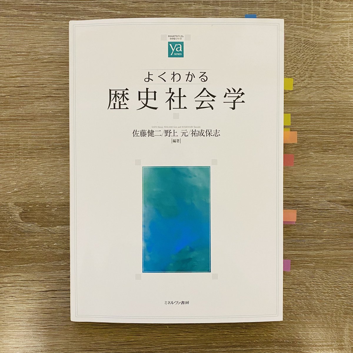 歴史と向きあう社会学 資料・表象・経験/ミネルヴァ書房/野上元（単行本） 佐藤健二・野上元・祐成保志編著『よくわかる歴史社会学』（ミネルヴァ