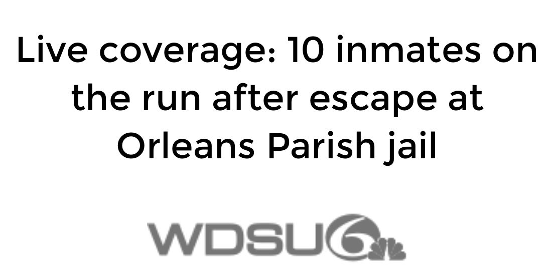 Attorney General Liz Murrill tweet media