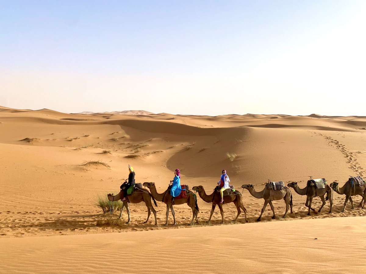 tilila_travel's tweet image. Morocco Travel Guide: Explore the Jewel of North Africa
Are you dreaming of vibrant markets, ancient cities, sweeping desert dunes, and colorful culture? Then it’s time to explore Morocco — a country that blends African roots, Arab traditions, Berber heritage,