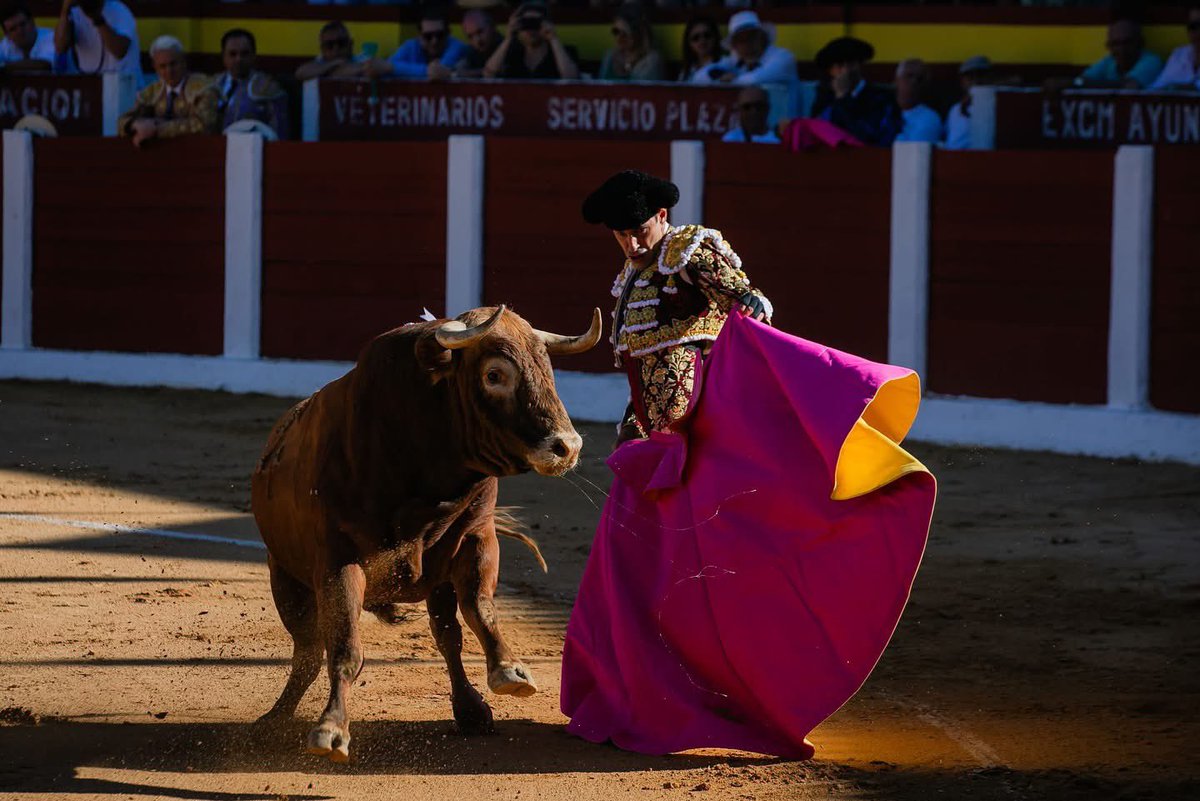 MGuardiolaM's tweet photo. Extremadura es tierra de toros, de tradiciones, de cultura. Gracias a todos los que mantienen con valentía la tauromaquia en nuestra región.

#DiaInternacionalDeLaTauromaquia https://t.co/AFEba2nQtc
