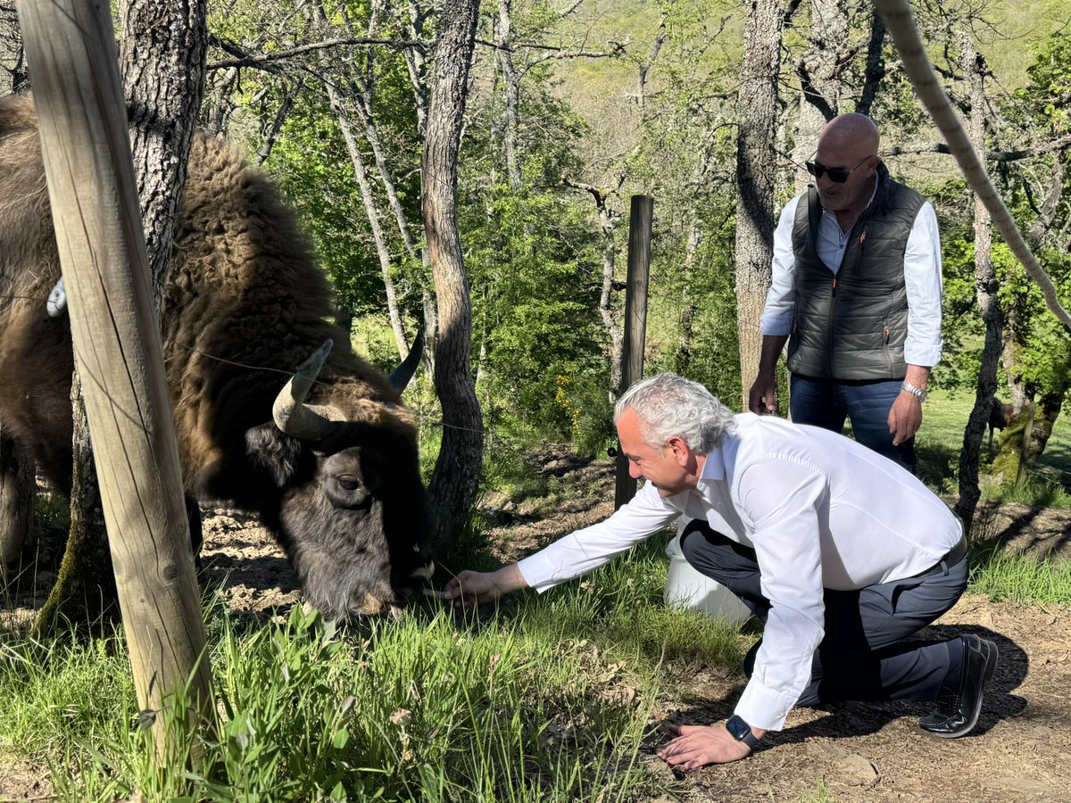 Delegación del Gobierno en Castilla y León tweet media