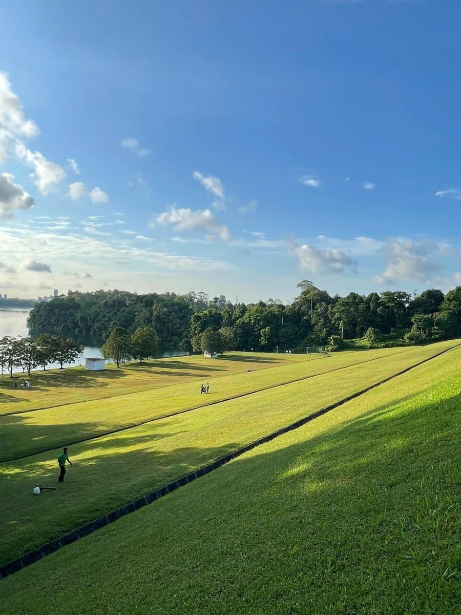 I get up early to see this kind of scenery:
Greenery in my eyes, sunshine under my feet, and peace in my heart.
I prefer the rhythm of life awakened by nature rather than an alarm clock🌿#MorningEnergy #SunnyGrassandAndMe #TheLightMomentsofLife