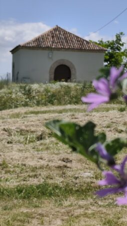 🚶🏽‍♀️Paseo barrionalista por Fuencarral

Hoy Flor <a href="/AsenjoFlor/">Flor López Asenjo</a> y yo hemos metido el libro de <a href="/RicardoBlancoS/">Ricardo Blanco 里卡多</a> en nuestra mochila 📖🎒 y hemos puesto rumbo al norte para conocer el antiguo pueblo de Fuencarral: ✨ #PLANAZO ✨

⬇️ Lo que hemos descubierto
labroma.org/blog/2025/05/1…