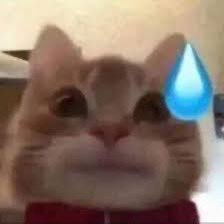 She asked me what rank I could be right now and if I thought i’m actually washed