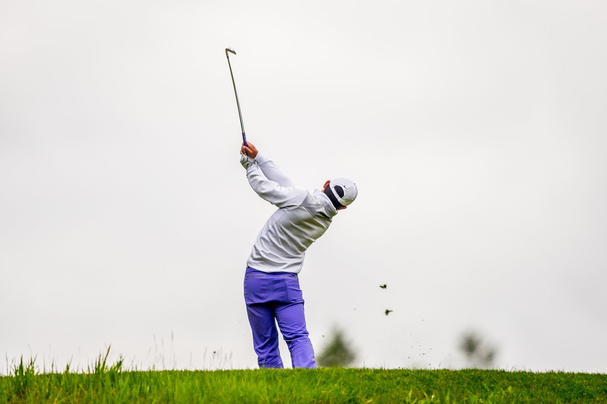 Washington Men's Golf tweet media