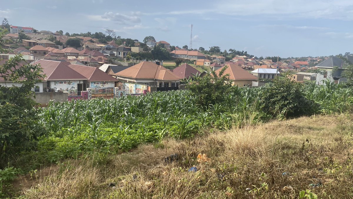 stkconsults's tweet photo. Nalumunye Jomayi. Estate 
Near Entebbe Express 
12 decimals  selling @ugx 65m 
With ready land title 
0200906013/0762808647 https://t.co/0CLfKNBsVF