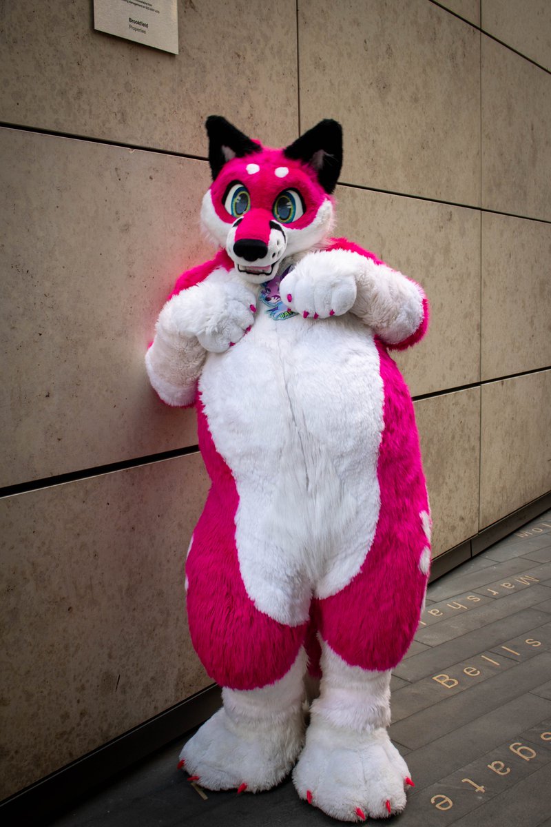 Baylei (@bayleifox) on Twitter photo Hey there! Hope you're having a lovely #FursuitFriday! π©π¦π©
This fox is getting ready for CFZ, hope to see some of you Floofs there π
πΈ @willsy107
πΎ <a href="/WolfBearz/">οΈGupperz</a>
πͺ‘ @shagpokestudios Hey there! Hope you're having a lovely #FursuitFriday! π©π¦π©
This fox is getting ready for CFZ, hope to see some of you Floofs there π
πΈ @willsy107
πΎ <a href="/WolfBearz/">οΈGupperz</a>
πͺ‘ @shagpokestudios
