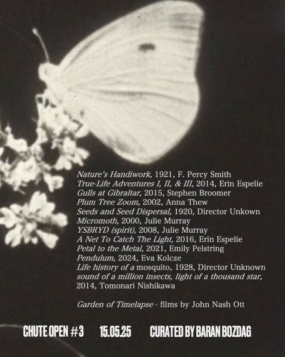 CINEBIOLOGY, the 3rd edition of CHUTE OPEN is online now!

Inspired by forest walks and pioneering nature cinematographers F. Percy Smith and Mary Field, the 3rd edition of Chute Open curated by Baran Bozdağ (<a href="/litaelacrimi/">baran b</a>) brings together 12 films, a focus on John Nash Ott.