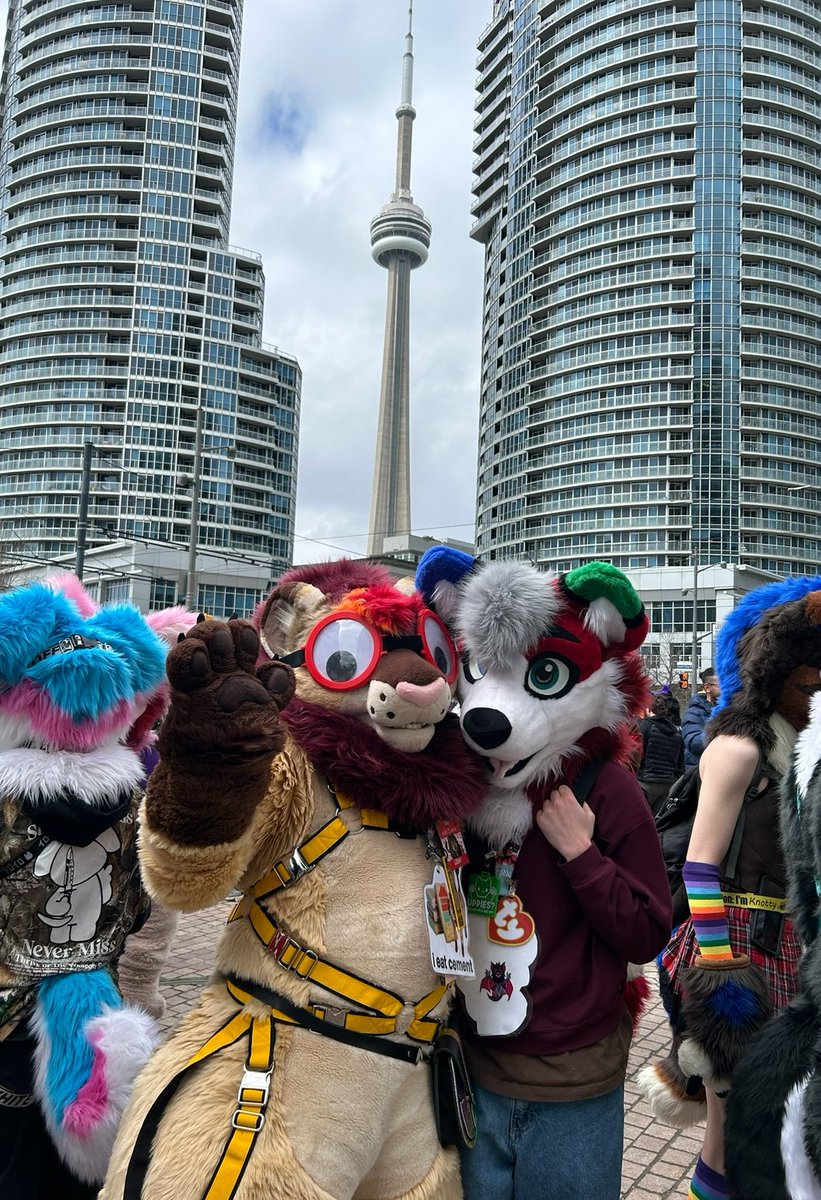 City time with silly kitty 

🦁: <a href="/SolasLion/">Sola Cola 🔜 AC</a> 
#FursuitFriday