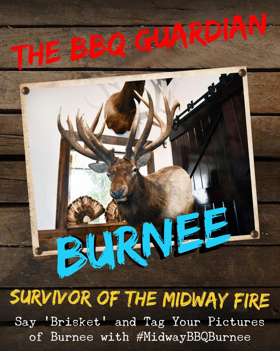 Midway_BBQ's tweet photo. Psst… a selfie contest with Burnee is coming! But first—who is Burnee?

When fire swept through Midway in 2021, one elk survived. That’s Burnee: smoke-scarred, still standing, and now our BBQ guardian and brisket judge.

Respect the Elk. Respect the BBQ.
#MidwayBBQBurnee https://t.co/nvb98qeBhI