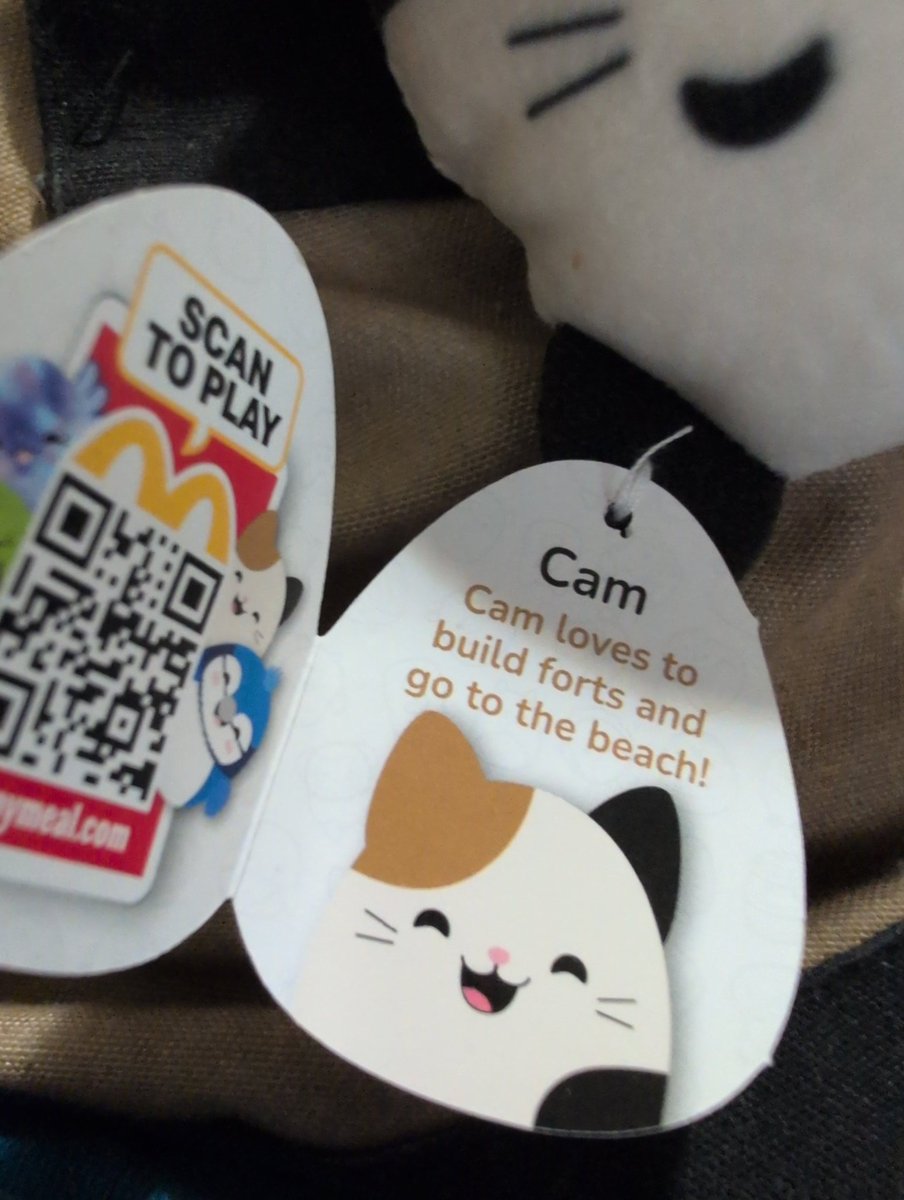 campercam⭕ tweet media
