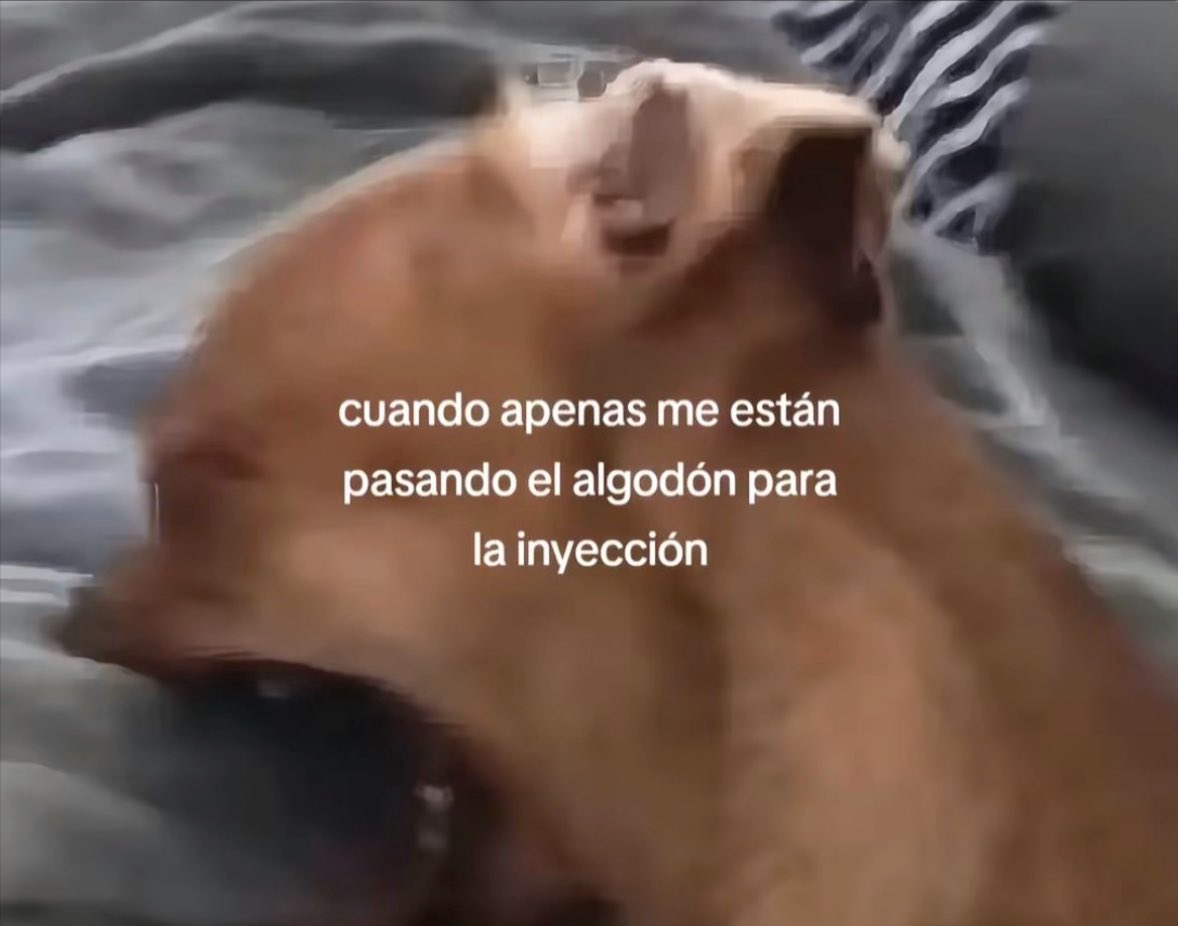 memes feos yo qué sé (@memefeos) on Twitter photo 