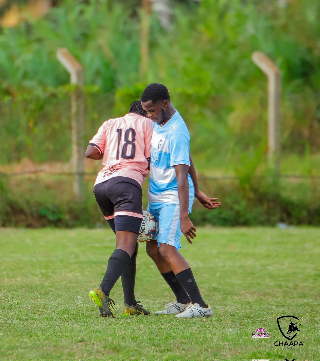 Chaapa League (@chaapaleague) on Twitter photo The league is for networking! <a href="/omutajifc2017/">OMUTAJI FC</a> and <a href="/holisticsfc/">HOLISTICS FC</a> we see you! Which sport is this though?😂😂
#RoadToTheKraal The league is for networking! <a href="/omutajifc2017/">OMUTAJI FC</a> and <a href="/holisticsfc/">HOLISTICS FC</a> we see you! Which sport is this though?😂😂
#RoadToTheKraal