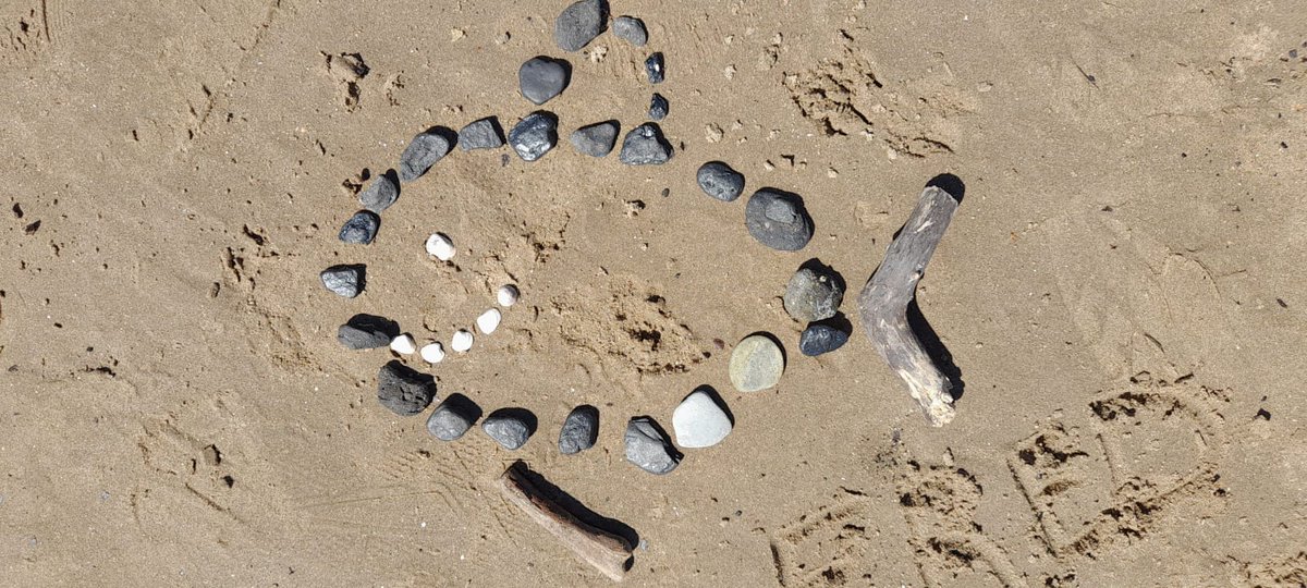 Katie Macfarlane tweet media