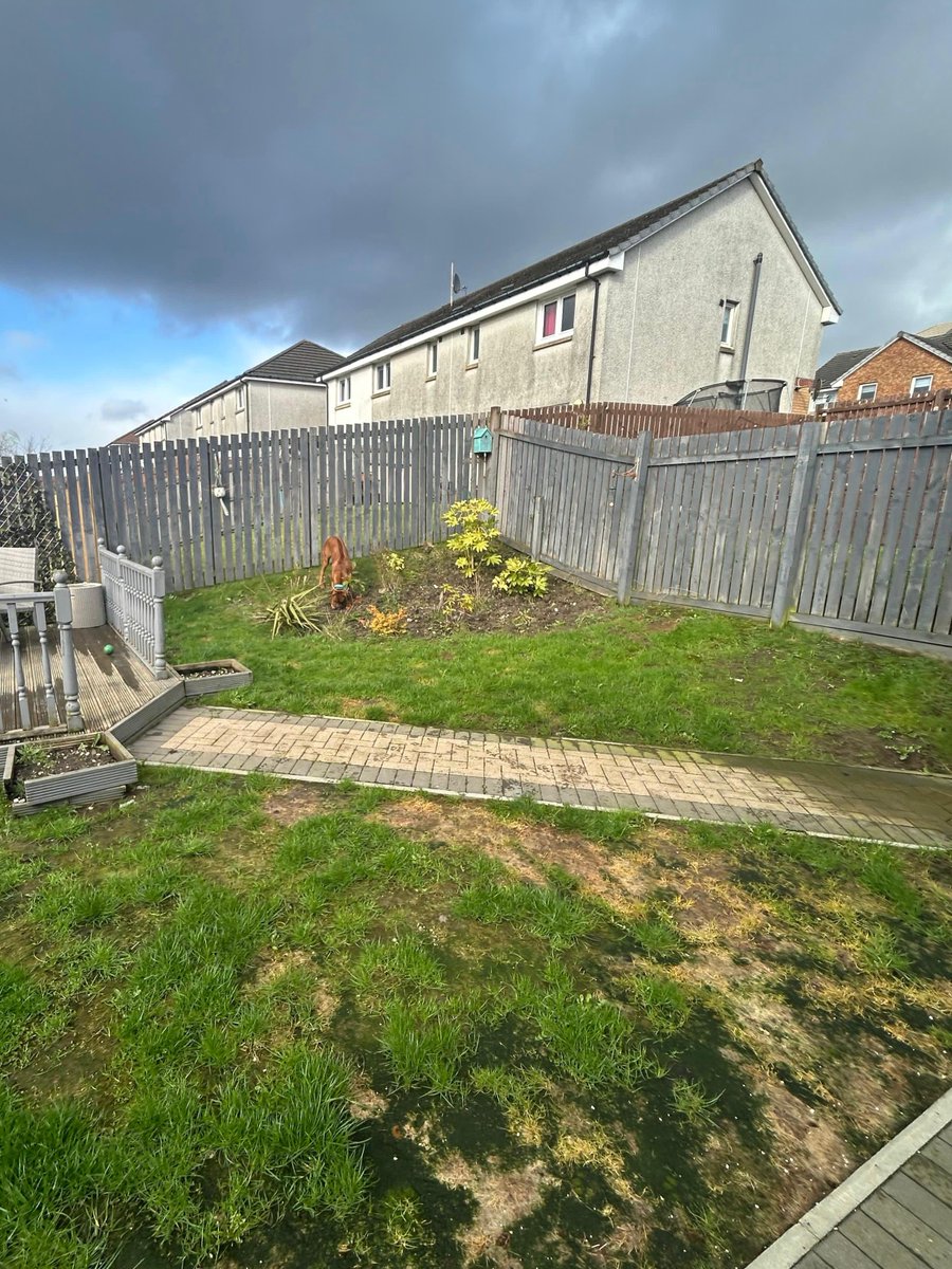 GGMArborists's tweet photo. 🌿 Happy Friday, Glasgow!

Look at this stunning before and after, a perfect garden for another perfect client 💚
Luxury results, every time.

#GGMLandscaping #GardenGlowUp #LuxuryLandscaping#GlasgowGardens #PerfectFinish #OutdoorLiving #GardenTransformation 💚✨🌿 https://t.co/HoXkRNS7eh