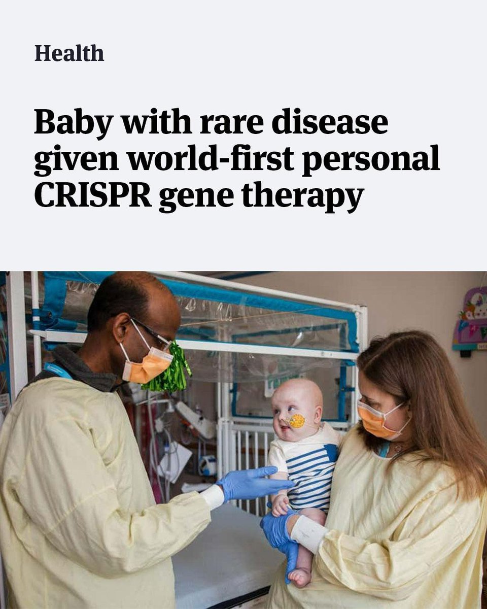 New Scientist tweet media
