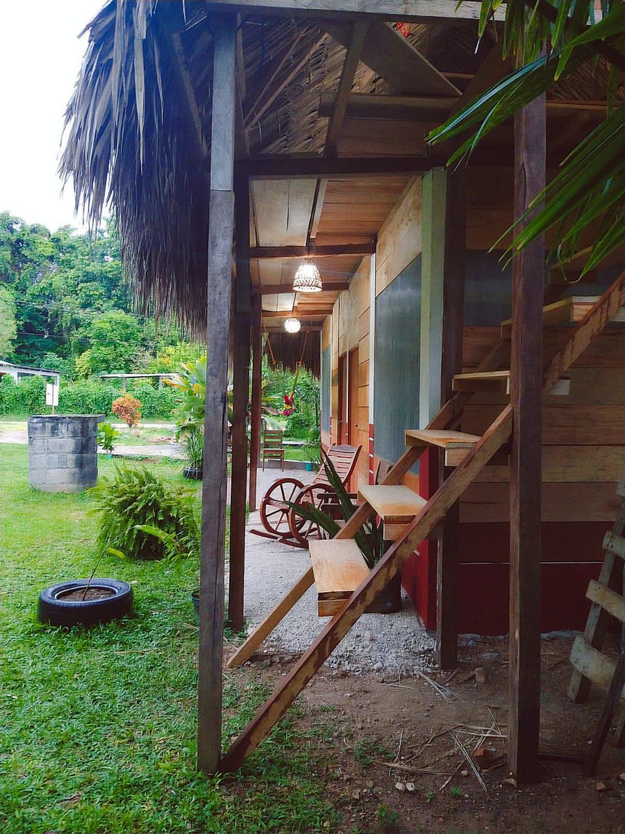 CONANP_mx's tweet photo. El grupo familiar Top Che Centro Ecoturístico te invita a conectarte con la naturaleza en la Reserva de la Biosfera #MontesAzules. 🍃✨
Hospédate en una de sus cabañas con terraza, cerca del comedor, con acceso al río y más. 🛖
Visita #MiTiendita ➡️ https://t.co/Q0WwSGQxus 🌳🌺 https://t.co/EPVlflesdm