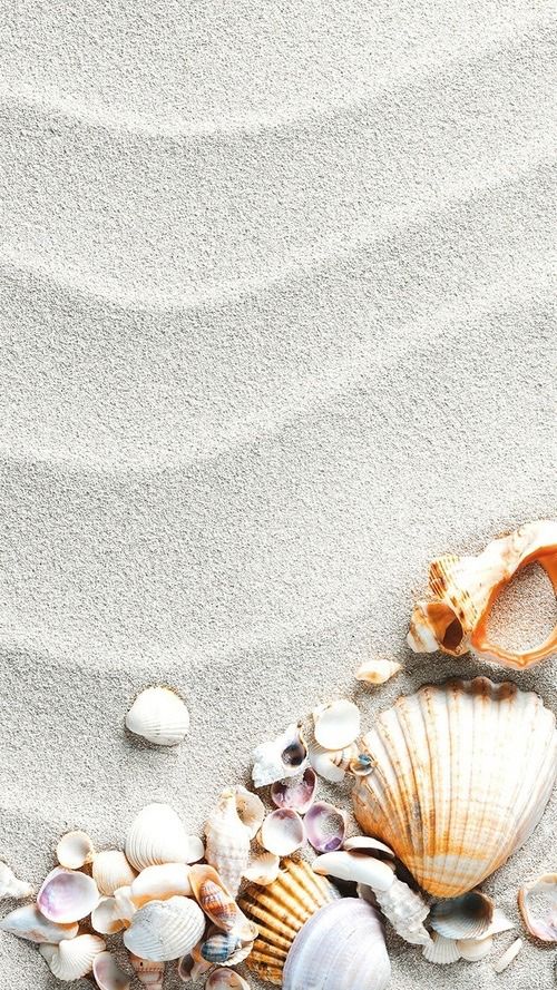 맑은어묵탕 (@soonji22choi) on Twitter photo 