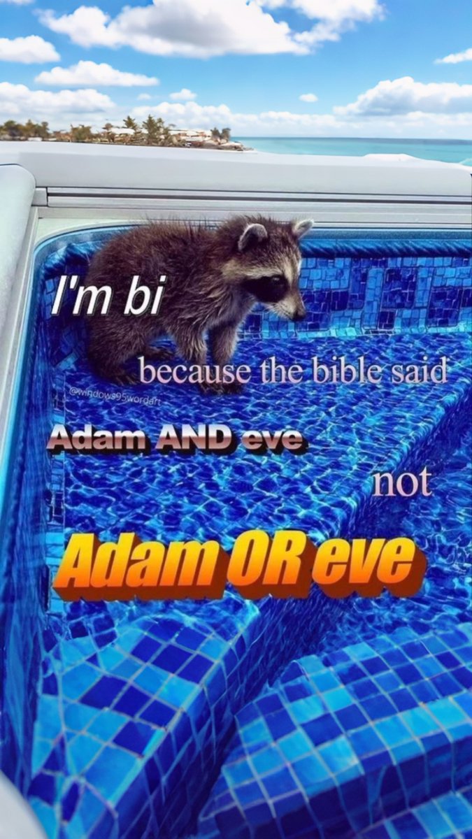 raccoon aesthetic. (@raccoonesthetic) on Twitter photo 