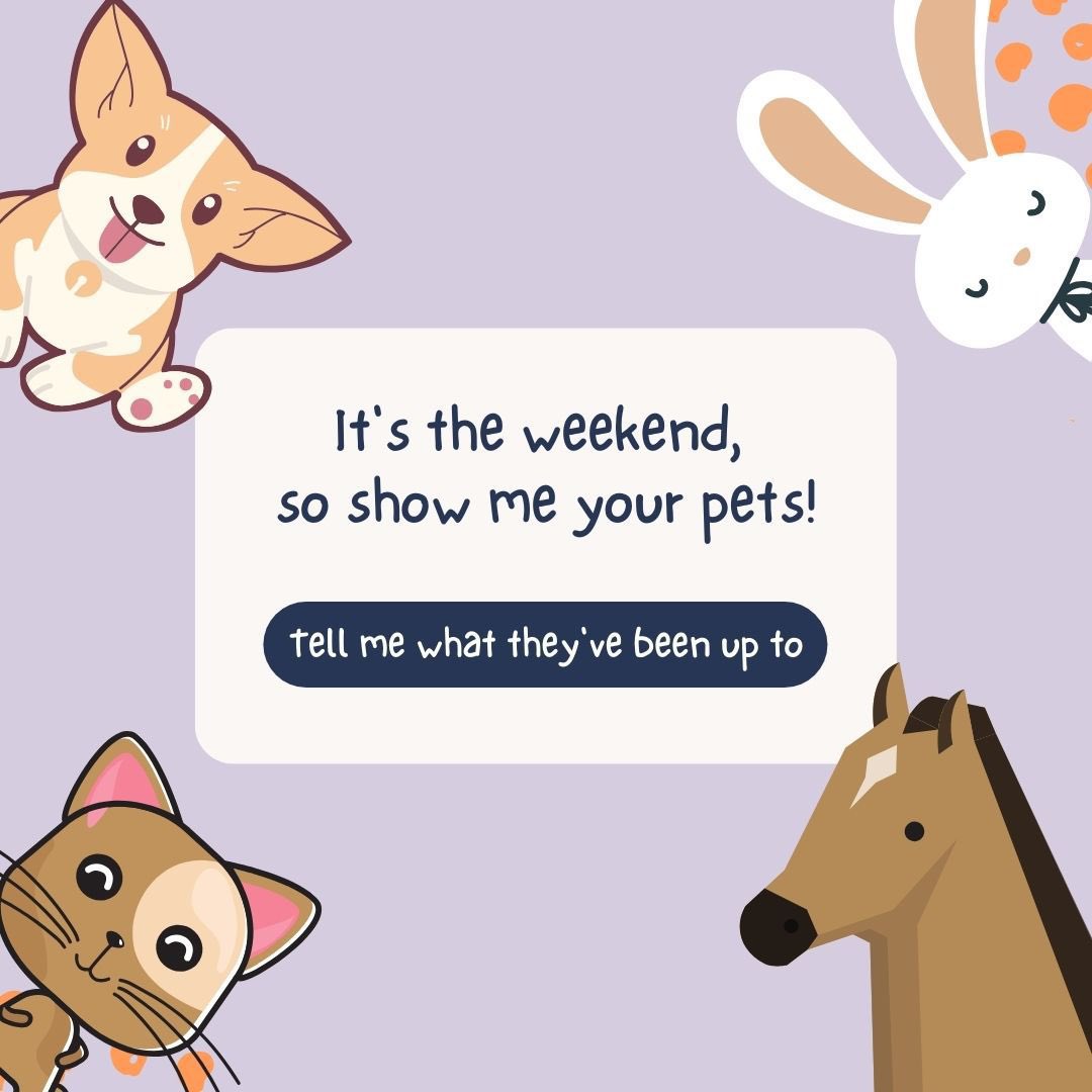 VetPathophile's tweet photo. 🚨PET CHECKPOINT!🚨
You know the drill…. It’s the weekend, so SHOW ME YOUR PETS IMMEDIATELY, whoever you are!
#PetsOfPathology https://t.co/V4fm9wgkmA