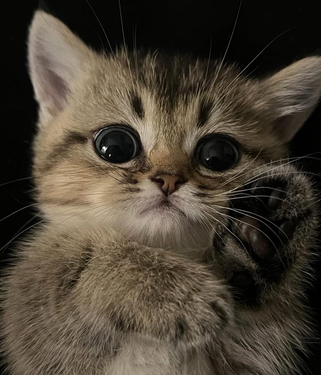 They calling my phone thanking me and praising me

Redemption arc