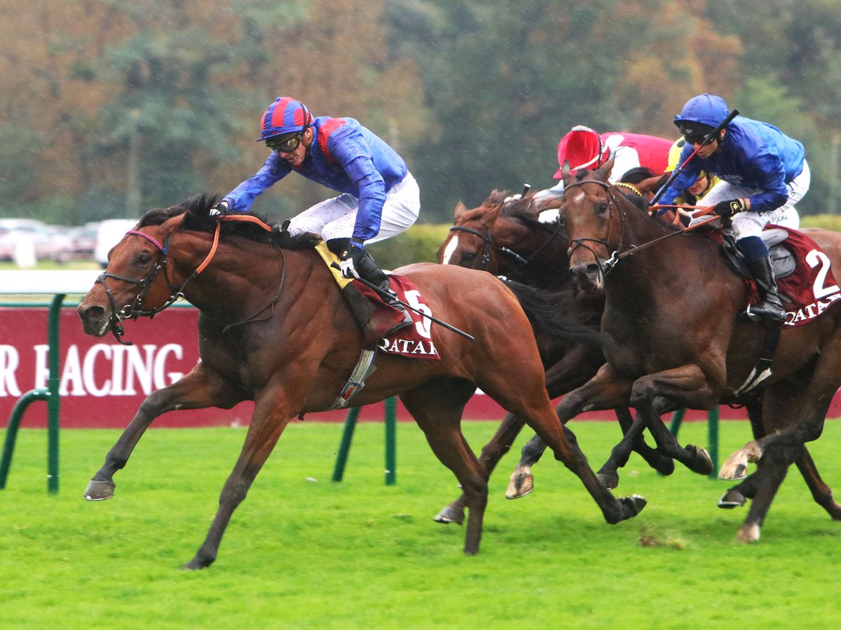 HKJC Racing (@hkjc_racing) on Twitter photo Racing To Win: Former Hong Kong champion jockey Philip Robinson is this week’s special guest, talking about Dubai Honour’s <a href="/StanChart/">Standard Chartered</a> Champions & Chater Cup tilt. #TripleCrown #HKracing
📺 tinyurl.com/yt38rd3c Racing To Win: Former Hong Kong champion jockey Philip Robinson is this week’s special guest, talking about Dubai Honour’s <a href="/StanChart/">Standard Chartered</a> Champions & Chater Cup tilt. #TripleCrown #HKracing
📺 tinyurl.com/yt38rd3c