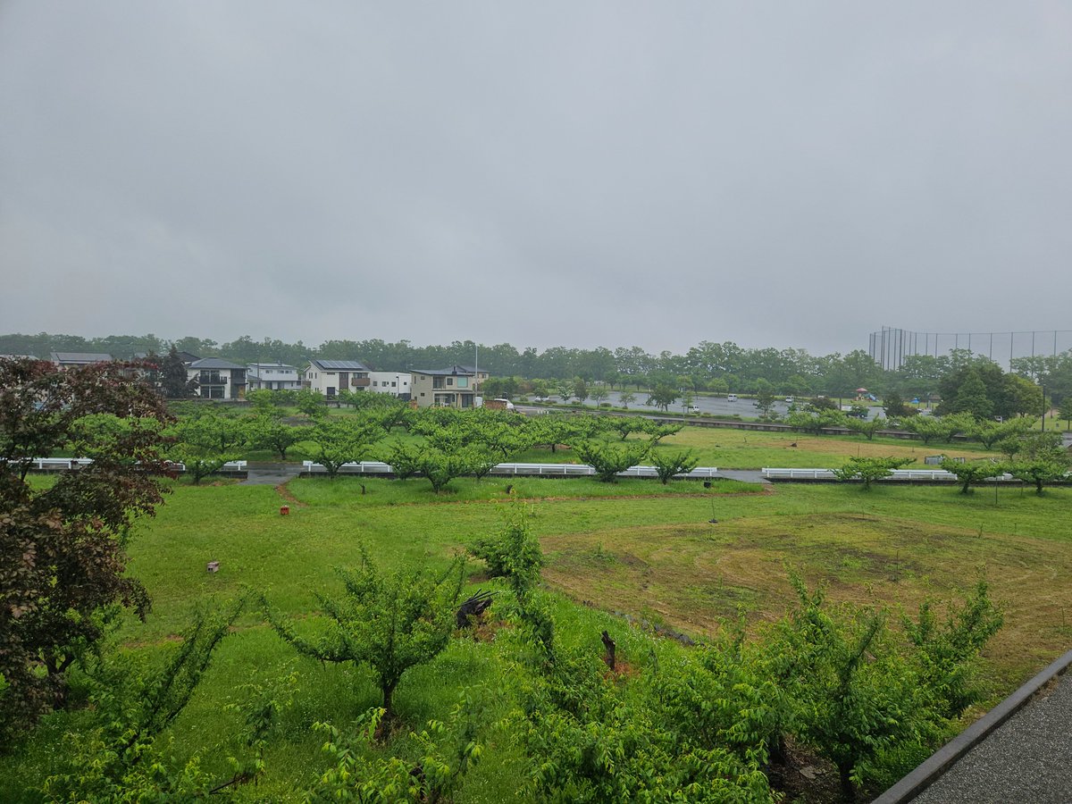 南アルプス市
朝の風景は……

雨☔後曇り予報

現地5月17日は大谷翔平デイ❗
日本時間では明日です❕🎶

昨日は大谷のボブルヘッドデイに
2本塁打6打点❗
明日の大谷翔平デイにも打つ❗

本日も打っちゃうかな‼️🙂
