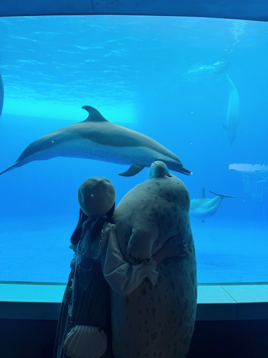 ぜひ今日来る方！！ 四国水族館も楽しんでいってね！！🐟 #PR #TikTok