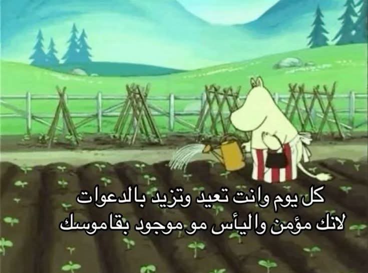 محبوب (@imahbuob) on Twitter photo 