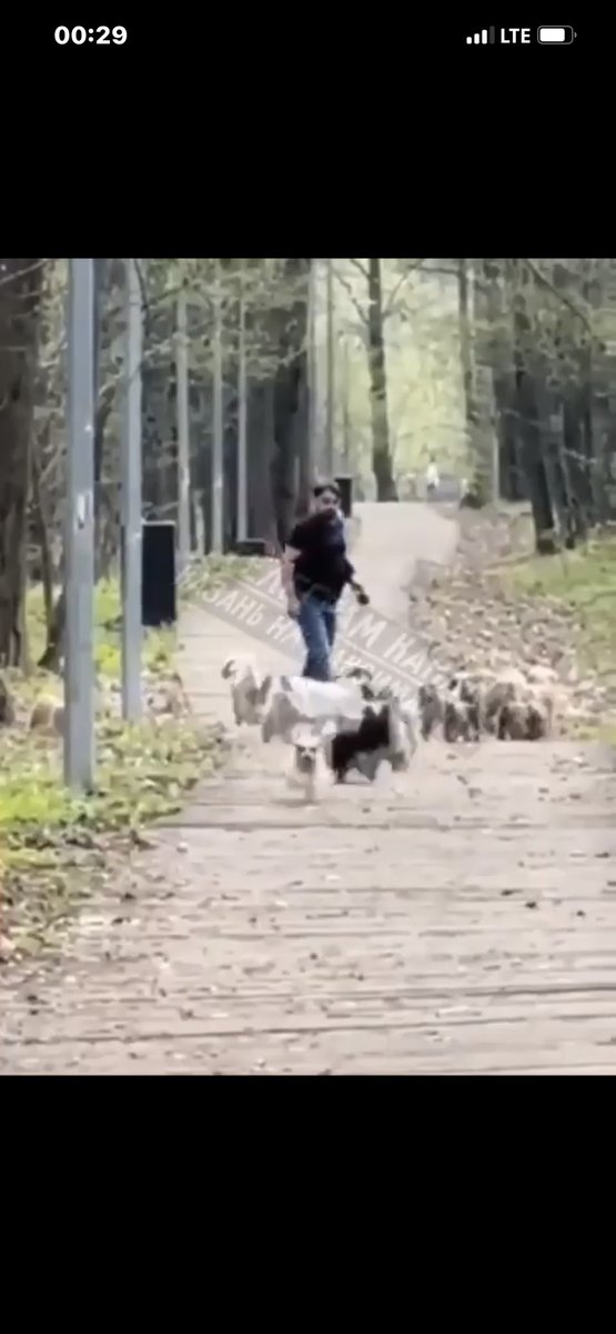 house_ofbo's tweet photo. @instablog9ja If you watch well eh,the dog don already Dey run 🏃🏽‍♀️ as the man start to find stick,the dog no look back o 😂😂😂 https://t.co/VQcCU97iHz