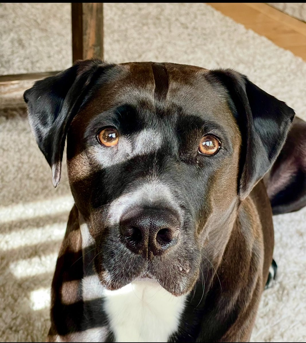 Mark Reardon tweet media