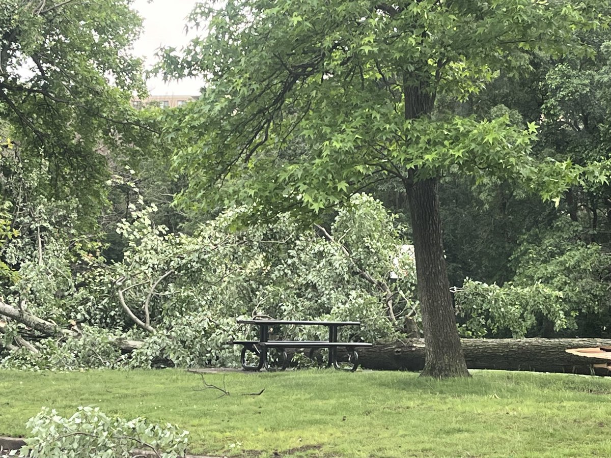 West Alexandria trees down after severe weather …. Thousands are without power across DMV area …. including me 😩 <a href="/7NewsDC/">7News DC</a>