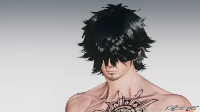 髪を上げてるキャラが一時的に下ろしてる姿好きなんだがこの毛量からするにこのキャラはこのくらいか #PSO2NGS_SS