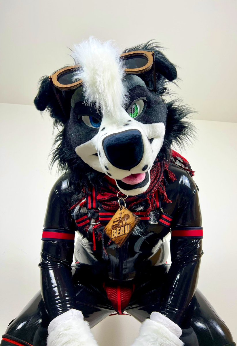 π Beau Collie π½ (@farmdoggo) on Twitter photo Heyβ¦. You uhβ¦. Got any games on your phone β¨
πͺ‘: <a href="/KinkyArtsAD/">Kinky Arts</a>
πΈ: <a href="/PolishedDurr/">β¨Bleat! but shiny β¨</a> Heyβ¦. You uhβ¦. Got any games on your phone β¨
πͺ‘: <a href="/KinkyArtsAD/">Kinky Arts</a>
πΈ: <a href="/PolishedDurr/">β¨Bleat! but shiny β¨</a>