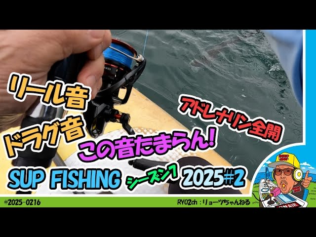 最新動画公開しました！
今回は釣果が良いと思います！
久しぶりの大興奮！！
#Ryo2Saito
#どうする795
#nack5
#supfishig