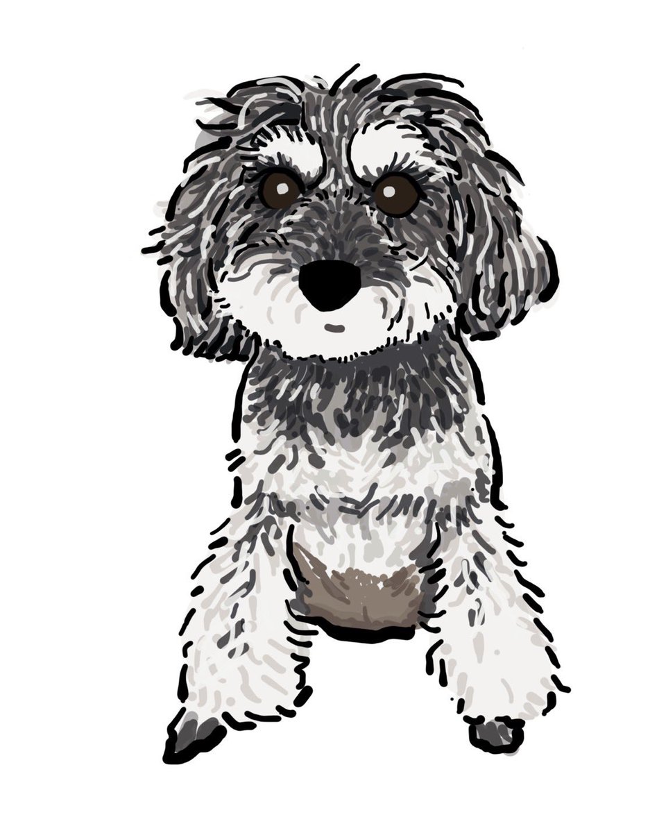 g76957220's tweet image. 朝のさんぽ☂️
今週もおつかれさまでした
小雨のうちに🐶💨
ゆる~くポカリを描いてもらった🖼️
#coconala
シュナウザー好きイラストレーター
もじポンさん
#保護犬猫を家族に