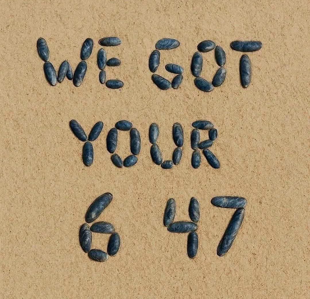 ⁦<a href="/realDonaldTrump/">Donald J. Trump</a>⁩