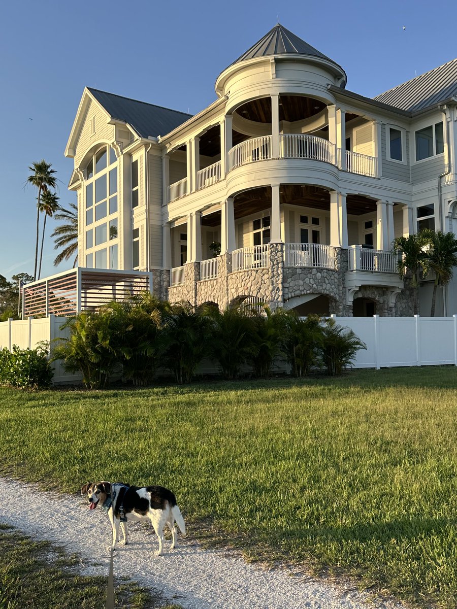 Can we move in here? 😂🐶💕🐾