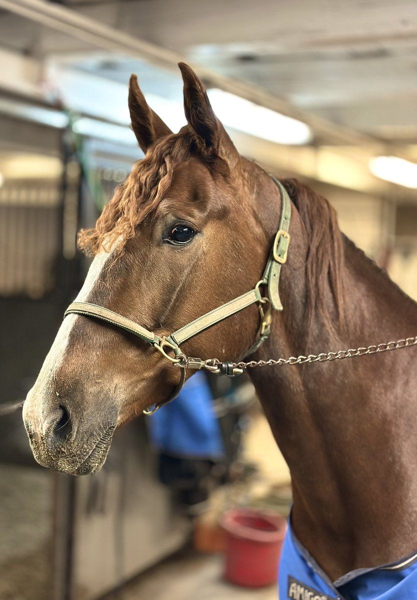 Kim Lagerhem tweet media