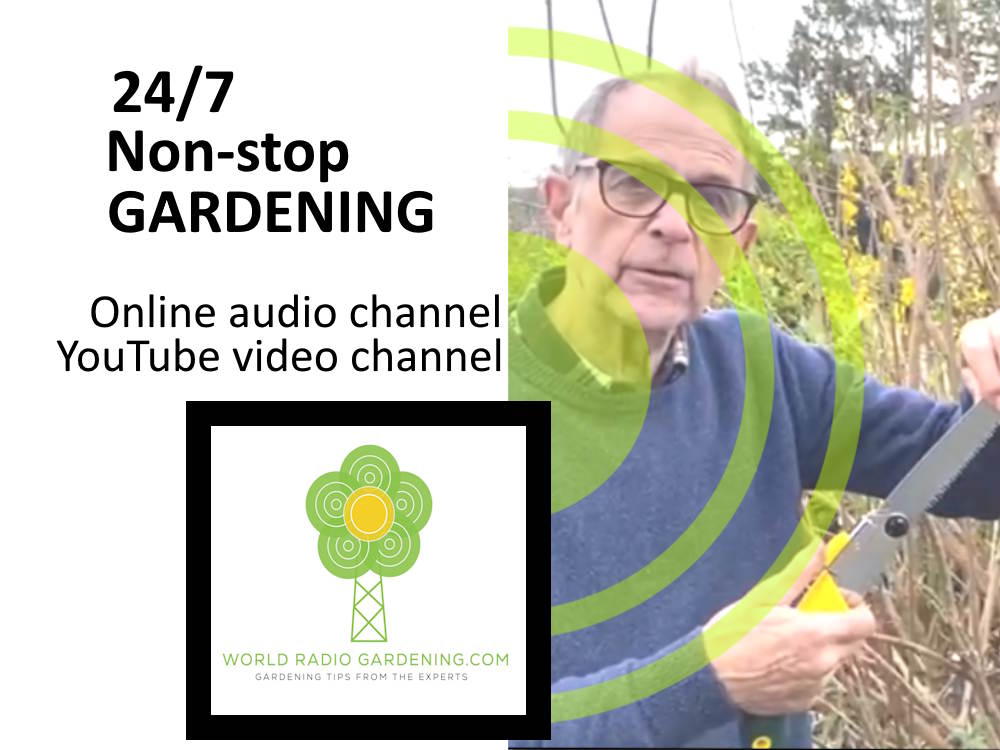 Listen throughout the week to non-stop #gardening on our audio stream 👉 bit.ly/3ZkGaUA

Use <a href="/tunein/">TuneIn</a> to play WRG on your smart speaker at home 🗣️🔉 bit.ly/3UZdP52

For videos visit out website >> bit.ly/3Mak8hR

📻💚
#GardeningX #radio #audio #podcast