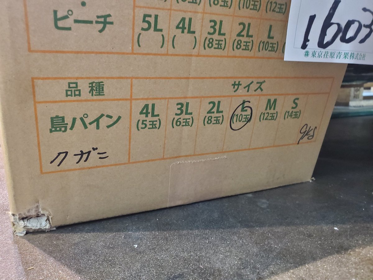 フルーツプロデューサーKYOHEI tweet media