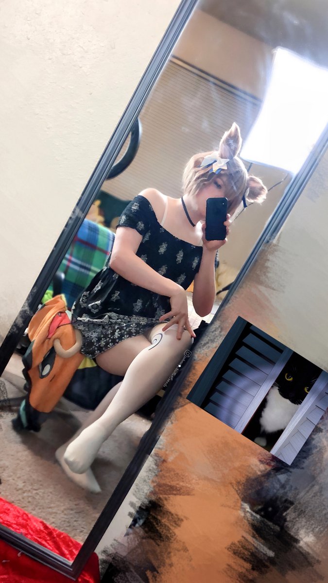 Johnnybull3ts's tweet image. Local cat discovers mirror(there’s another cat in there tf)
