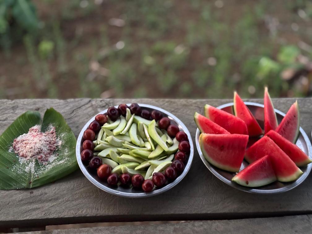 mizoraminsta's tweet photo. Good morning from Mizoram, where the day begins with a burst of freshness from the healthy fruits!
Pic credit 📷 chhanzz_ralte_26
.
.
.
#fruit #thei #theithur #fruits #waterlemon #lemon #mizoram #mizoraminsta #northeastIndia #healthy #freshfruits https://t.co/tq8BfmPC77
