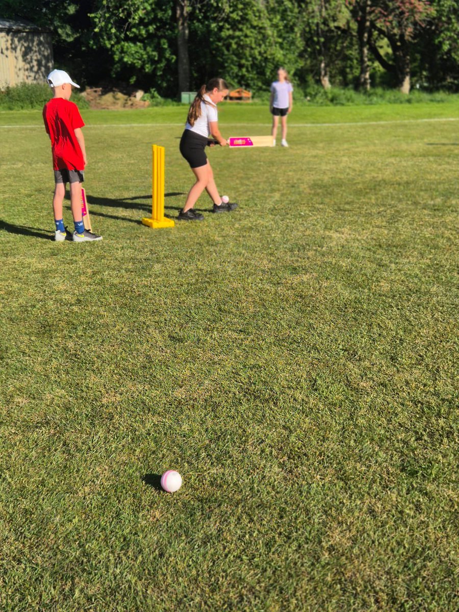 WelshpoolCC tweet media