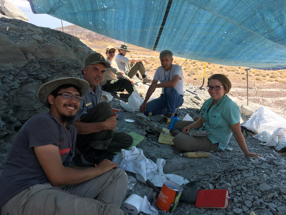 Adam Marsh (@notthatmarsh) on Twitter photo Congrats to the newly minted Dr. <a href="/WAReyes6/">William Reyes</a> who helped excavate this specimen as an intern and wrote it up for a dissertation chapter and now open access pub in <a href="/PaleoSoc/">The Paleontological Society</a> Journal of Paleontology. #fossilfriday Congrats to the newly minted Dr. <a href="/WAReyes6/">William Reyes</a> who helped excavate this specimen as an intern and wrote it up for a dissertation chapter and now open access pub in <a href="/PaleoSoc/">The Paleontological Society</a> Journal of Paleontology. #fossilfriday