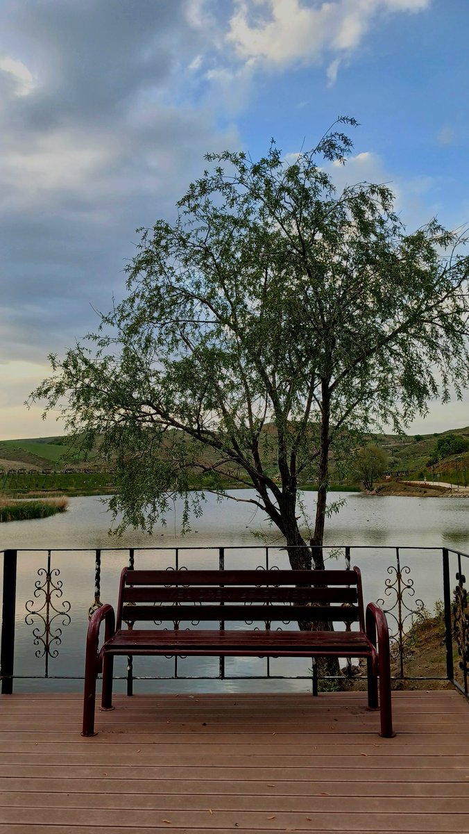 Damla (@sherlocksupheci) on Twitter photo 