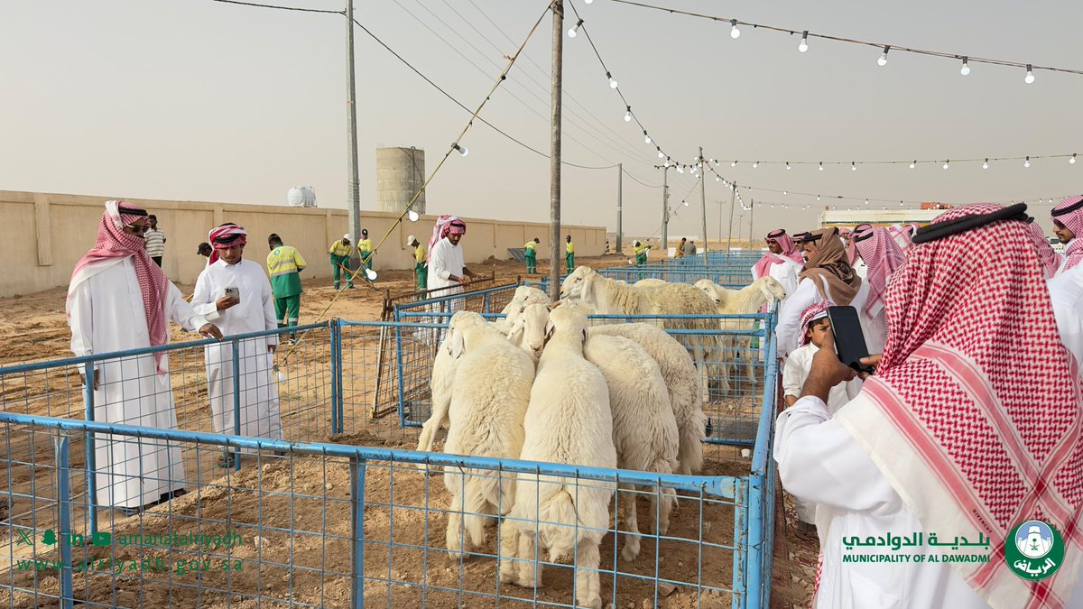 بلدية الدوادمي tweet media
