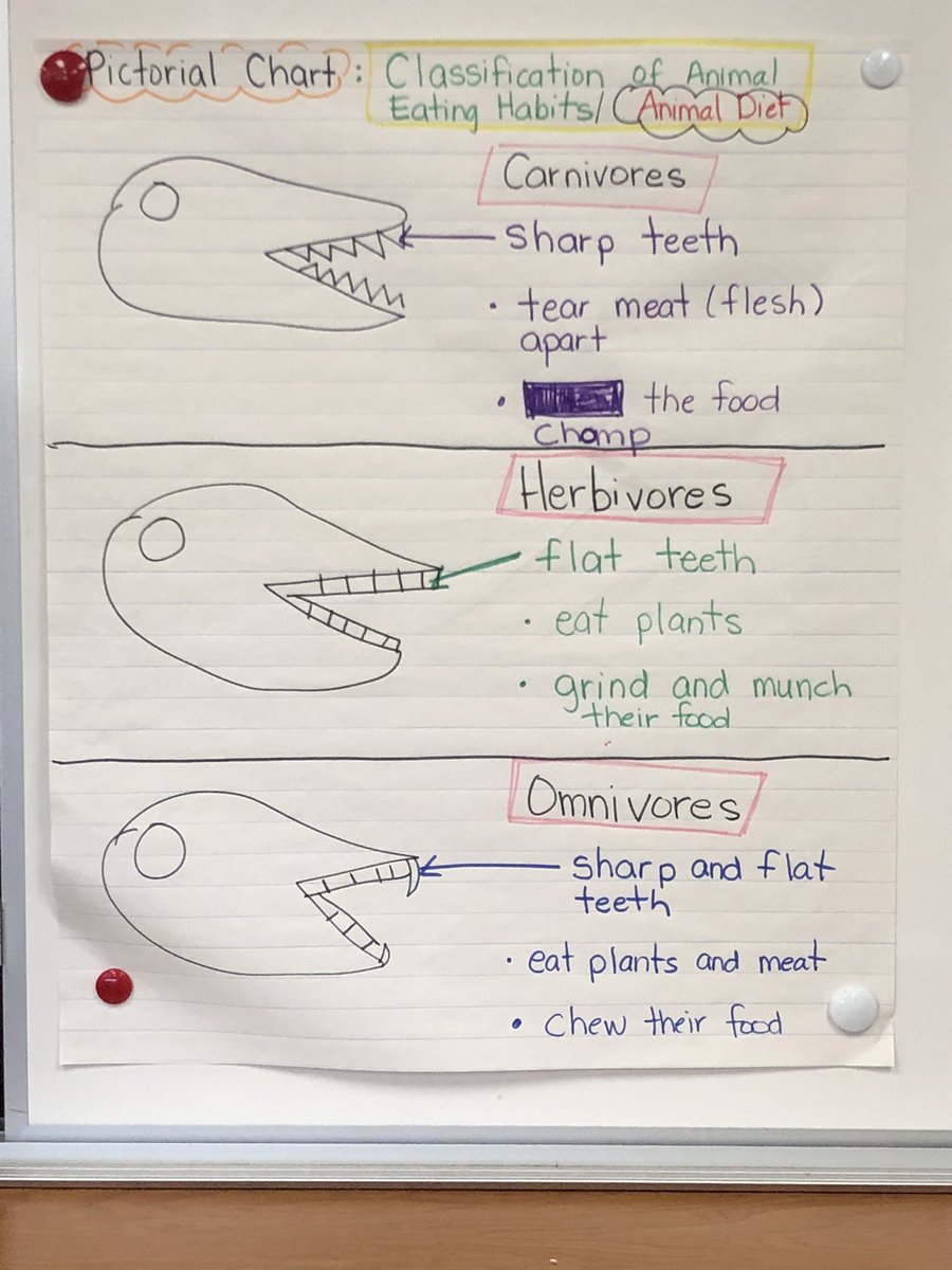oneontaSBUSD's tweet photo. Our 1st grade Leaders showcased their learning at the Animal Fair! π
ππ»
#AnimalClassifications
#GLAD @EMI_SBUSD
#sbusdDreamBuilding @SBUSD_NEWS @Supt_SBUSD https://t.co/H6Hha3dLC3